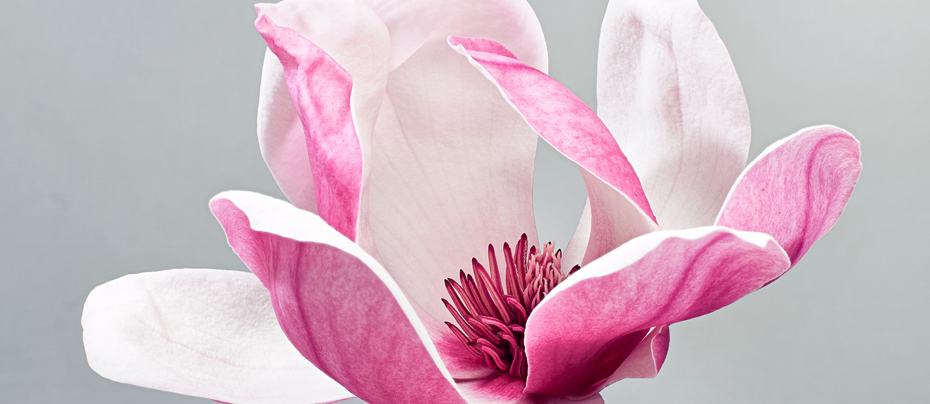 Decorative